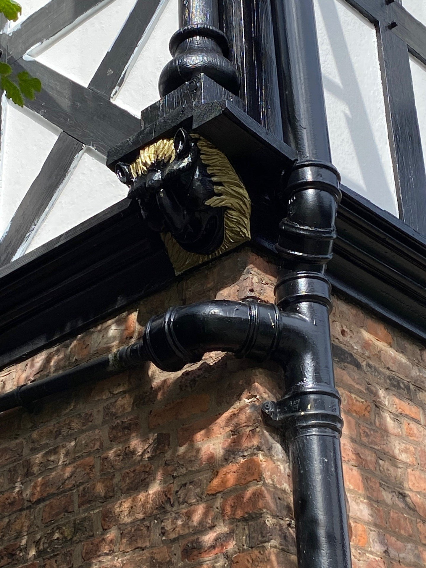 ornate drainpipe