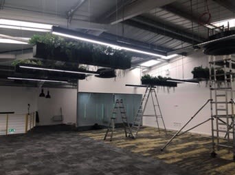 decorating in process