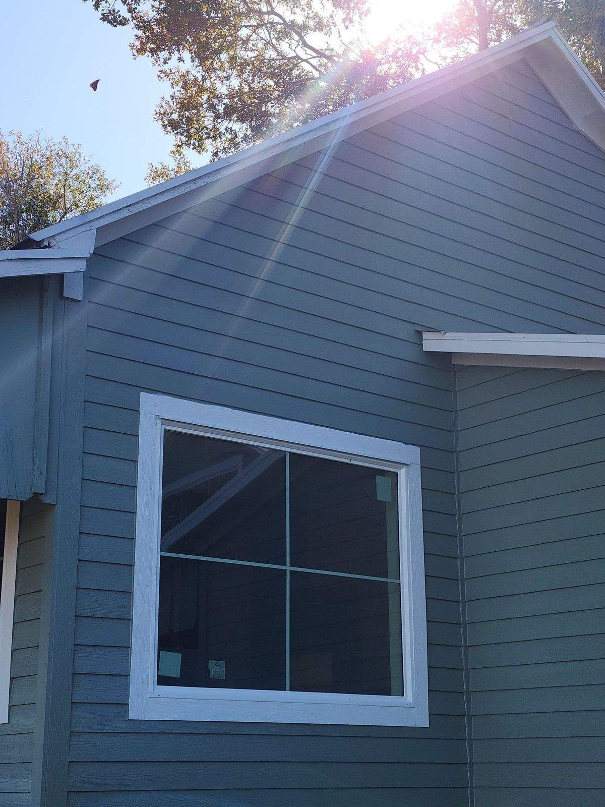 Blue house exterior with white-framed window. Sunlight shines down.