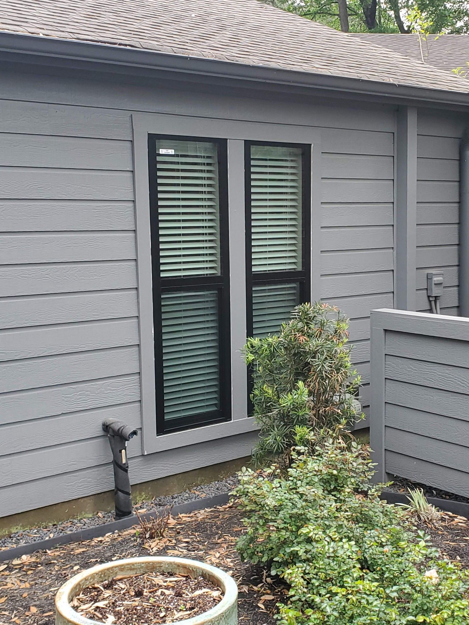Exterior wall with two windows, gray siding, black window frames, and green blinds. A small bush grows below.