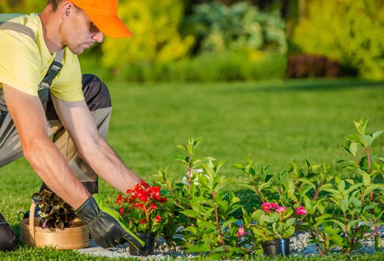 Commercial Landscaping — Man Holding a Grass Cutter in Albany, GA