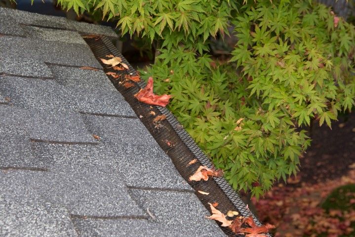 An image of Leaf Guard in Oakville ON