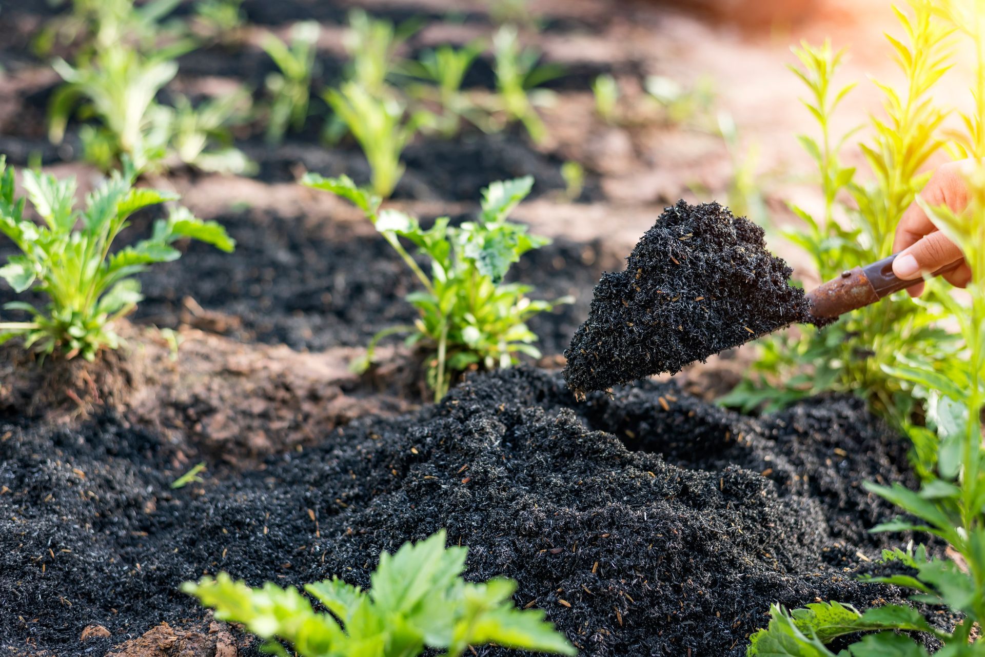 A person is digging in the soil with a shovel in a garden.