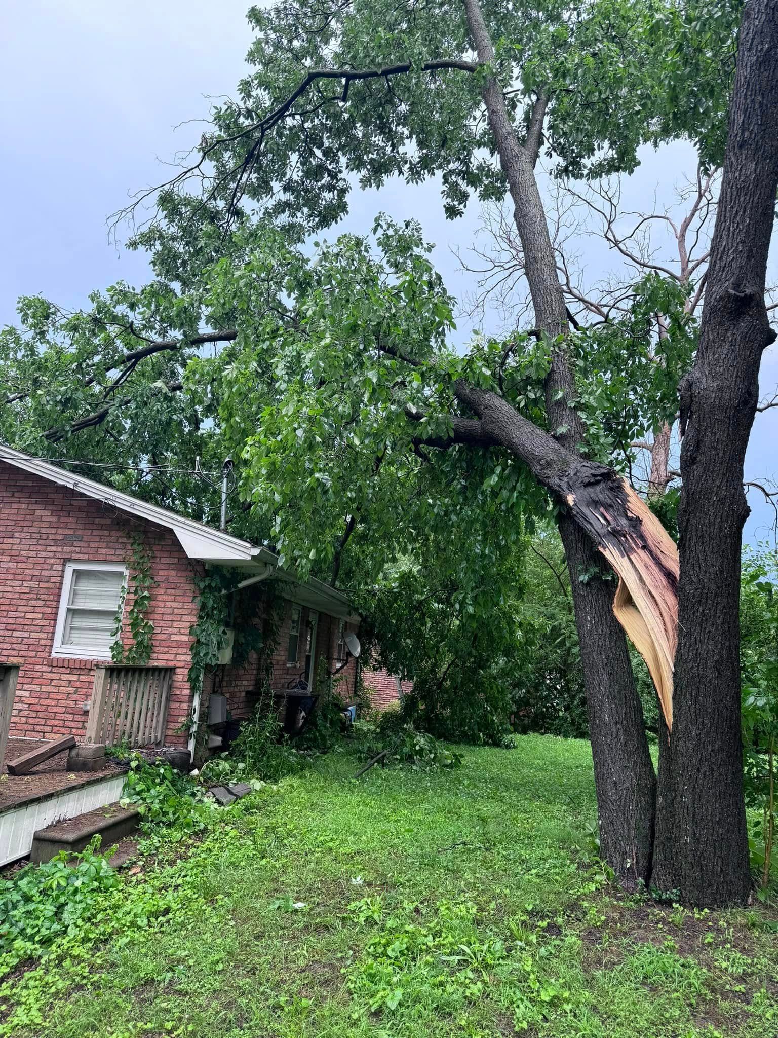 A tree that has fallen in front of a brick house.