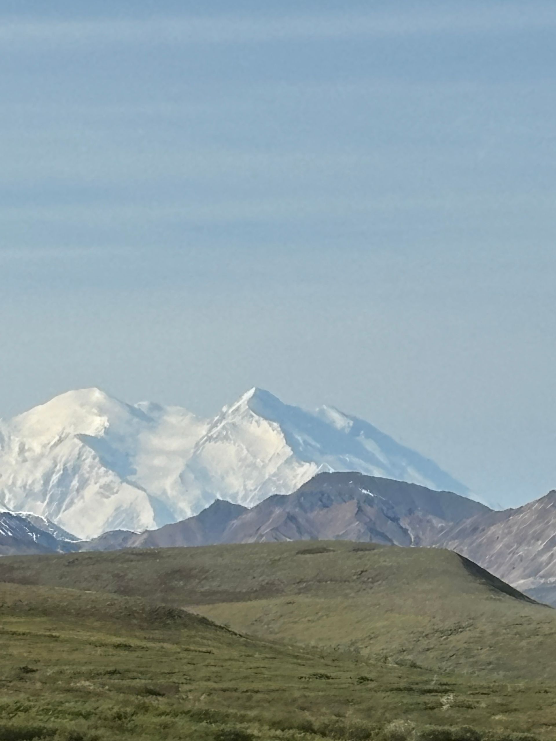 A massive, snow-capped mountain towers over a lush green tundra landscape under a clear, bright blue sky.