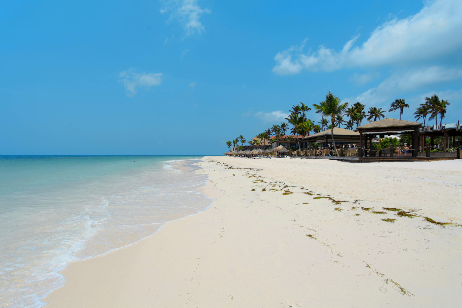 A beach with white sand and palm trees on a sunny day.