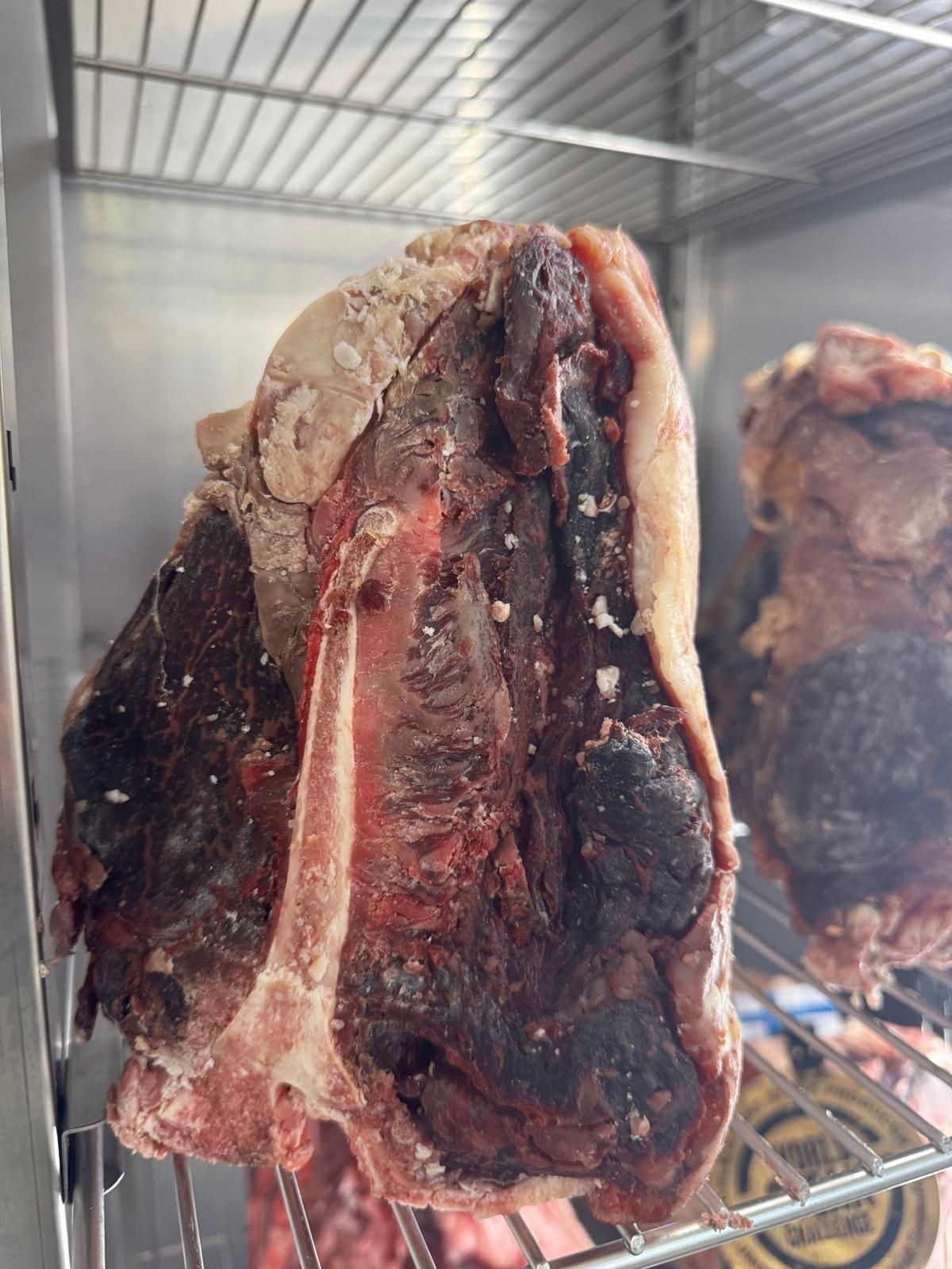 Bistecca T-bone frollata a secco in frigorifero, con uno spesso strato di crosta scura e secca e carne rossa esposta.