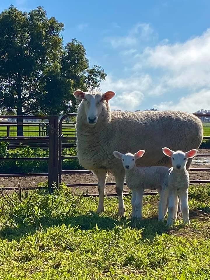 bauer with their children