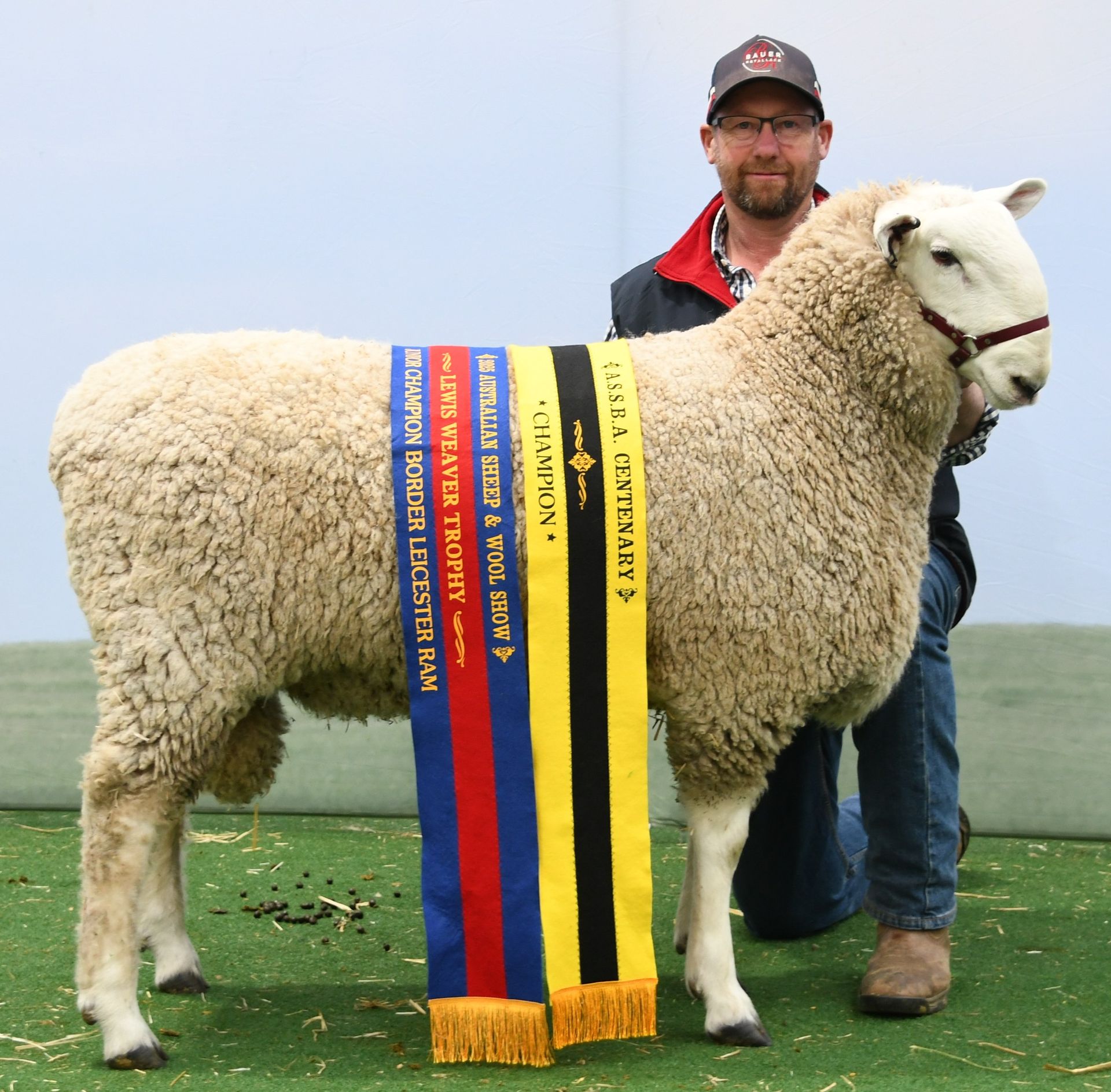 Ewes