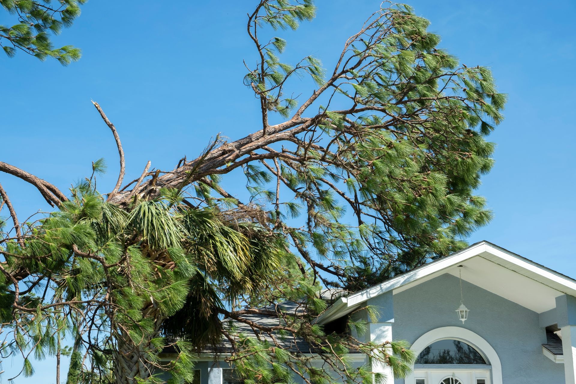 Residential storm damaged roofing service in Melbourne, FL