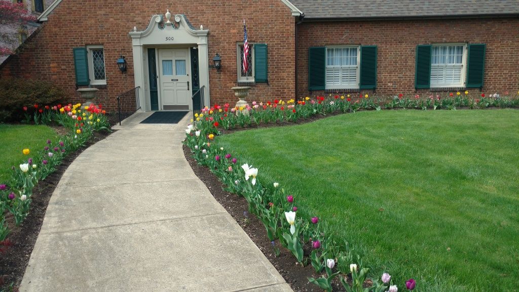 Brick house with a curved concrete path lined with colorful tulips leading to the front door.