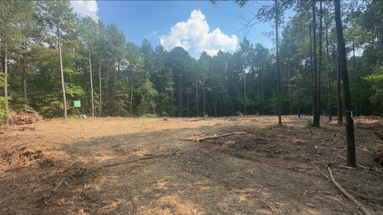 Cleared land in a forest; brown dirt, green trees, blue sky with clouds.