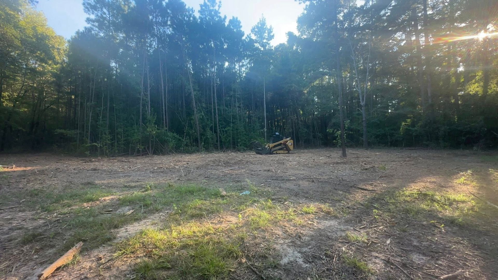 Clearing in front of a tree line; light shines through the trees.