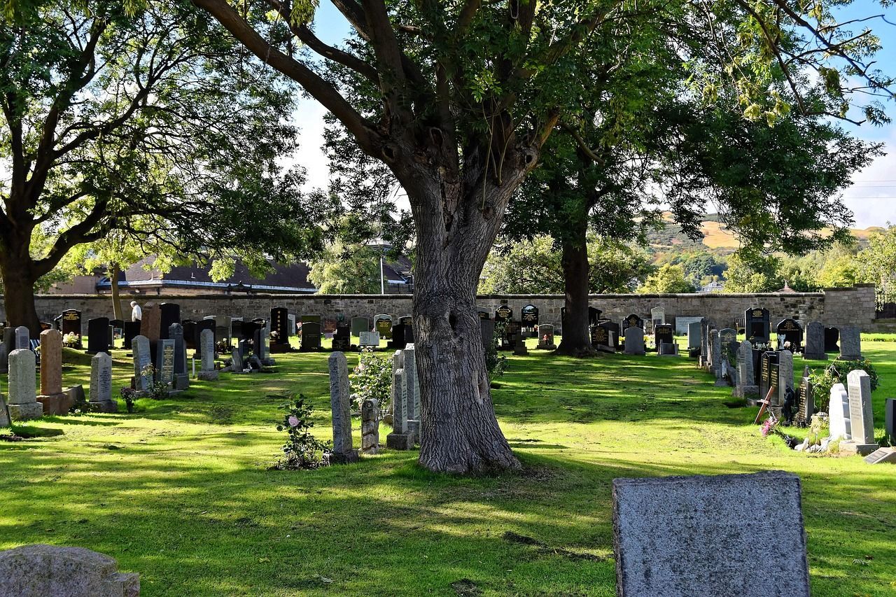 Close-up of cemetery gravestones in a graveyard setting