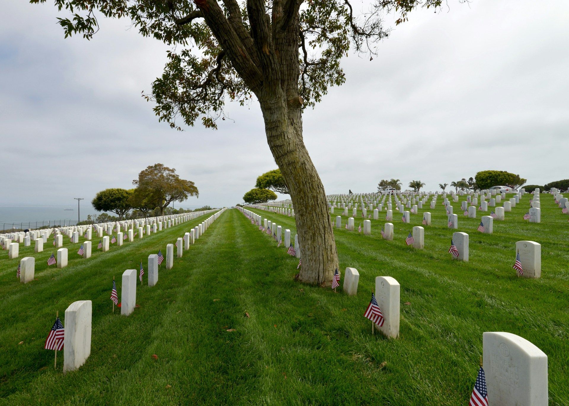 Peaceful cemetery with rows of headstones under tall trees, creating a serene place for remembrance