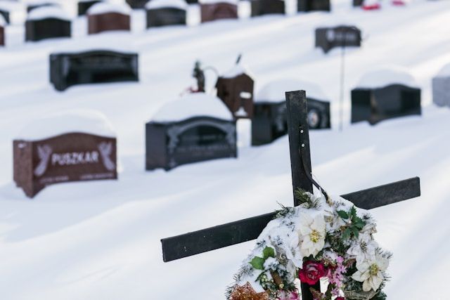 cremation services Edinburg, TX