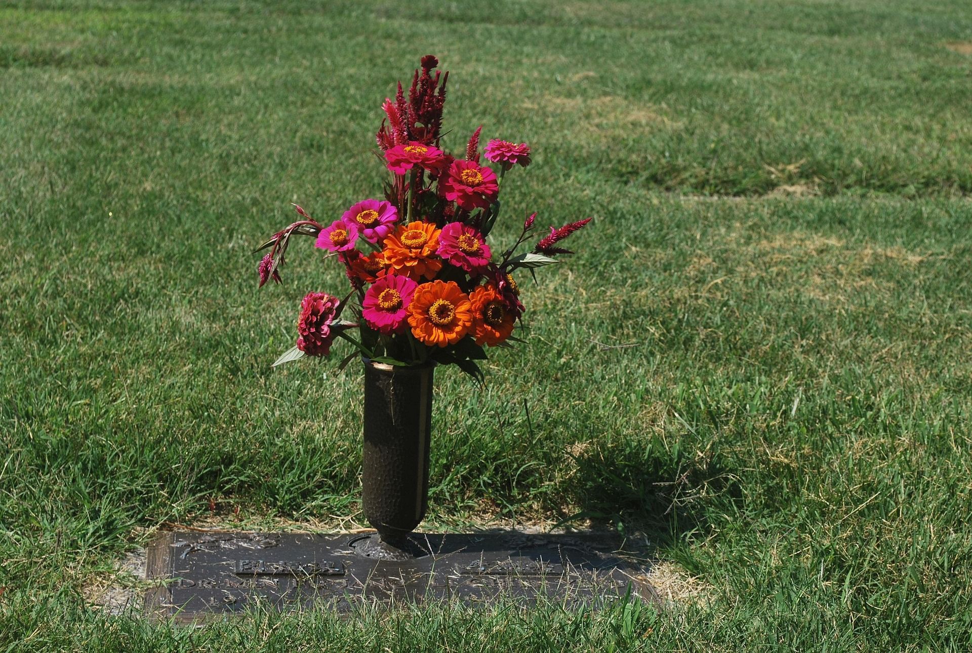 cremation services Edinburg, TX