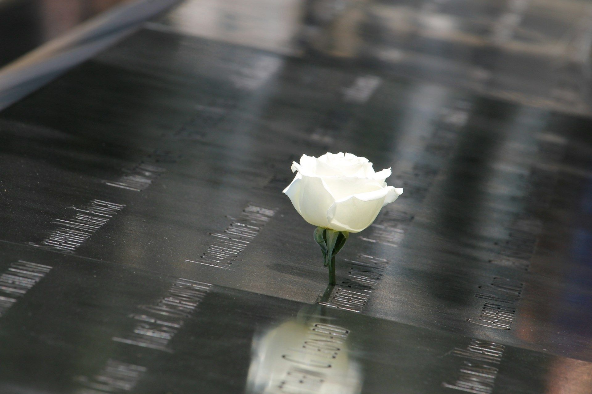 cremation services Edinburg,TX