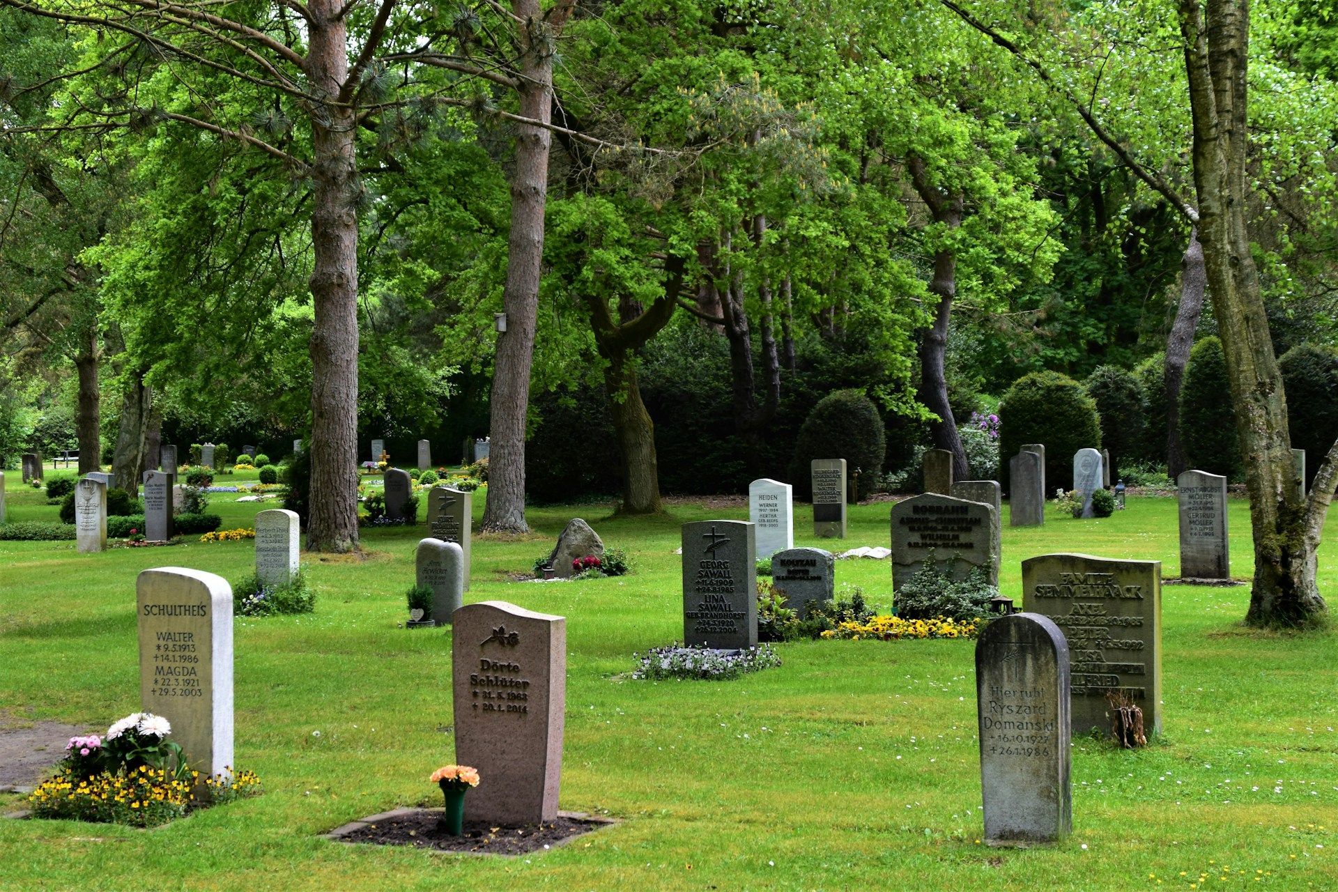 Peaceful cemetery with gravestones among tall trees and fresh greenery in a quiet setting