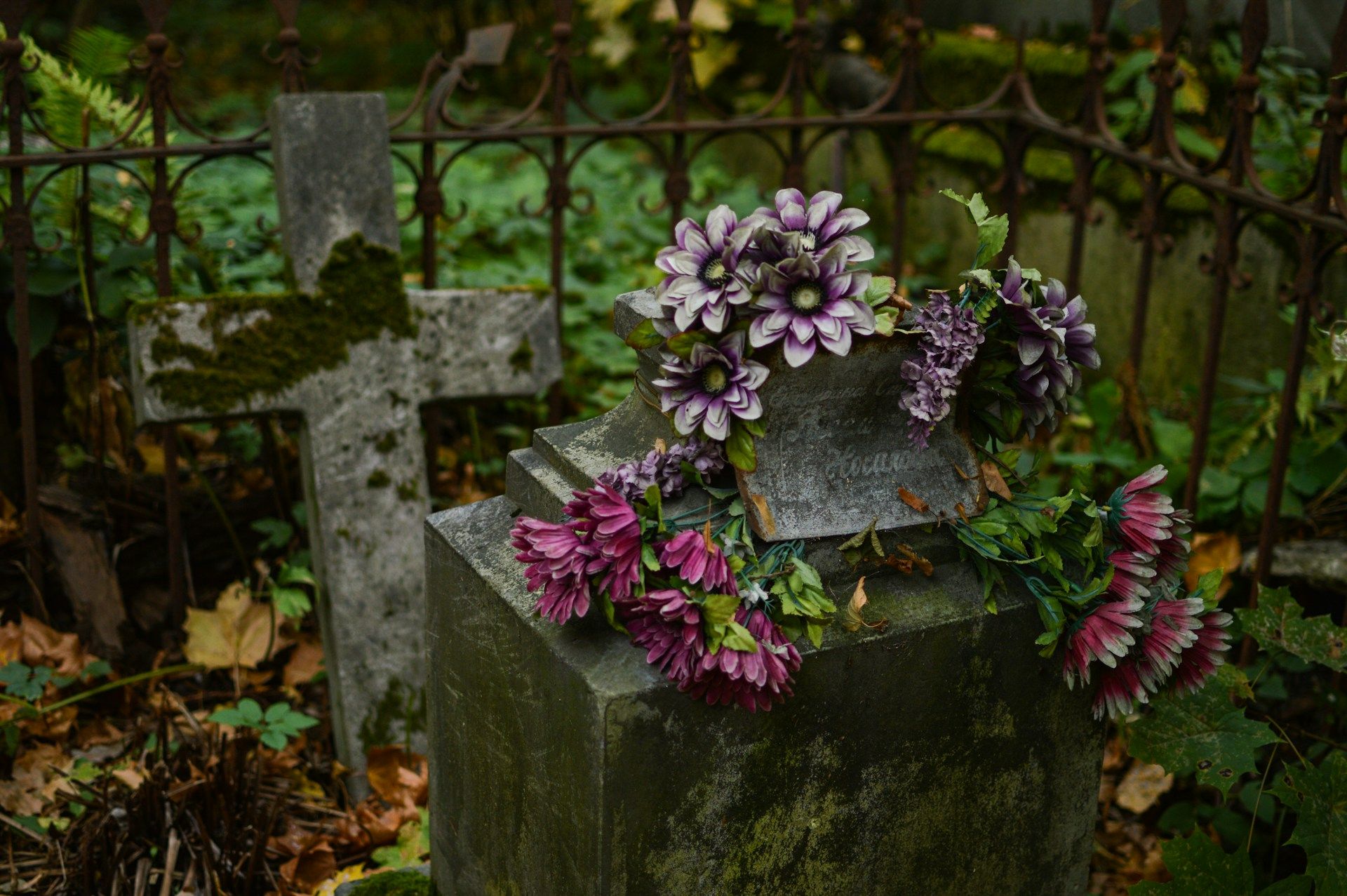 cremation services San Juan, TX