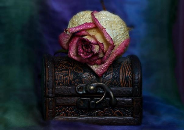 Dried rose and petals arranged in a memory box symbolizing love, nostalgia, and honoring memories