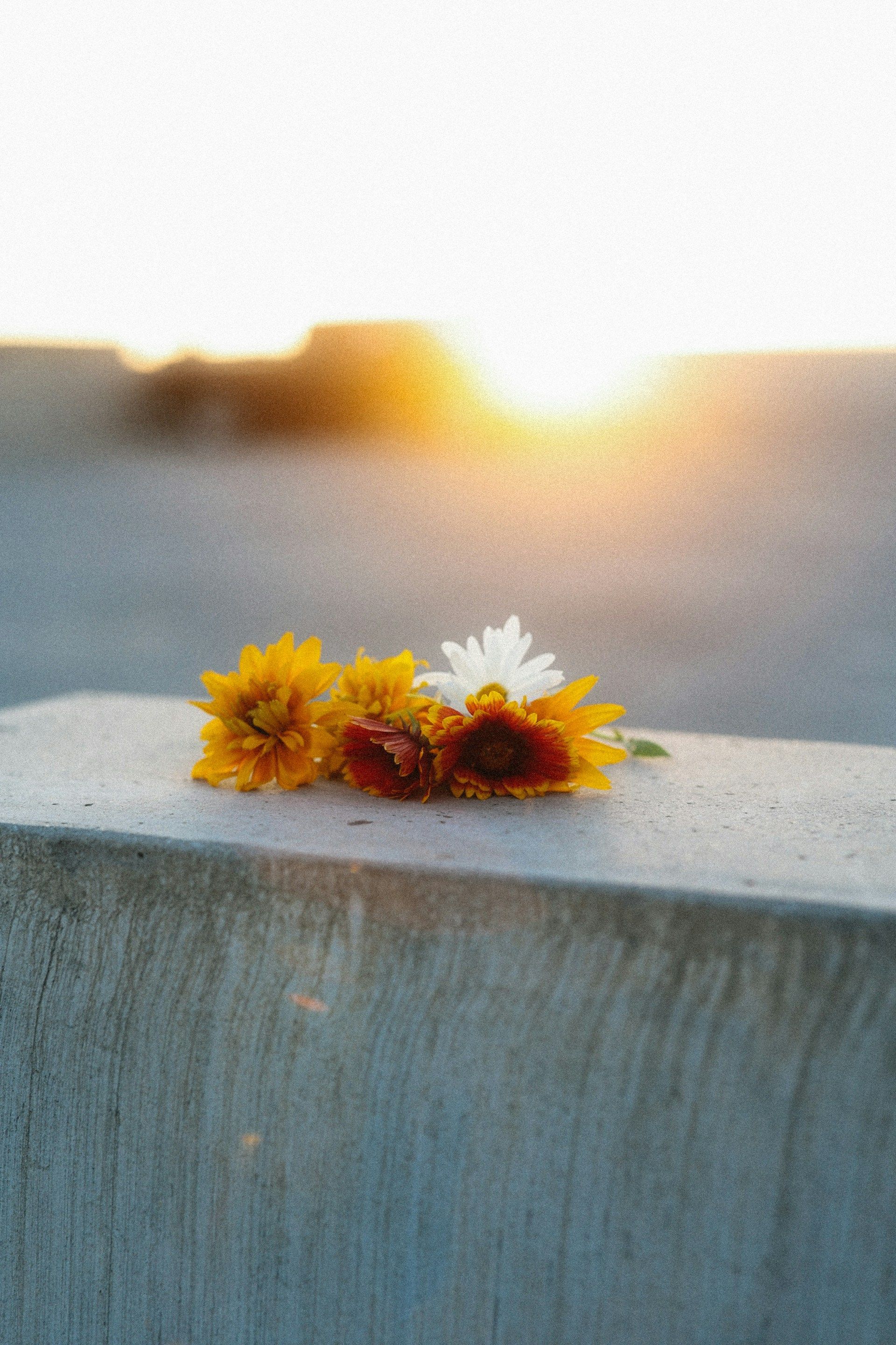 Flowers resting gently on a wall at sunset symbolizing peace, remembrance, and quiet reflection.
