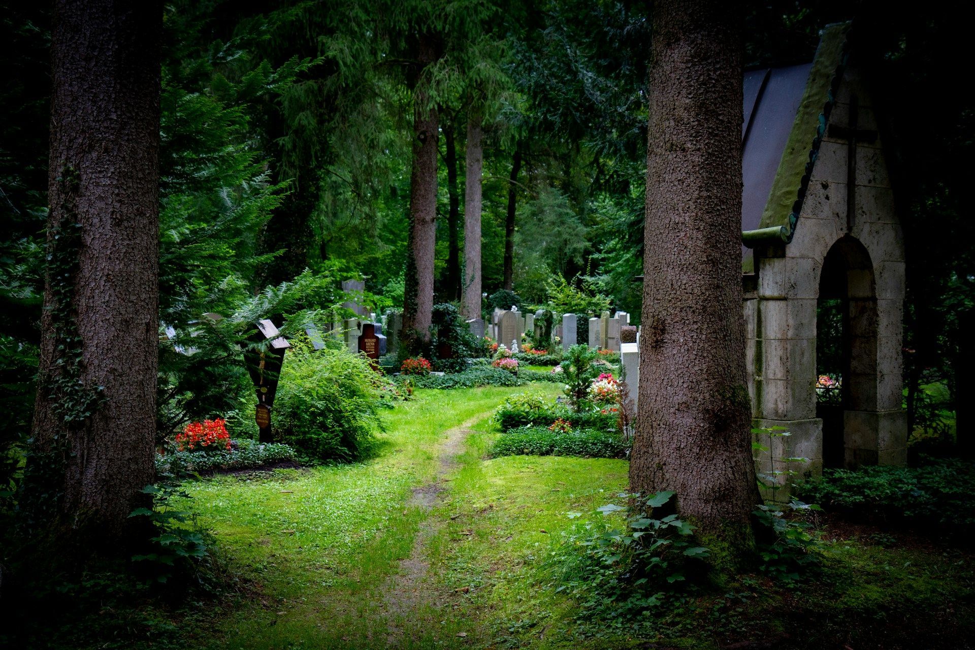 Quiet forest cemetery with headstones, flowers, and a small stone archway among tall trees