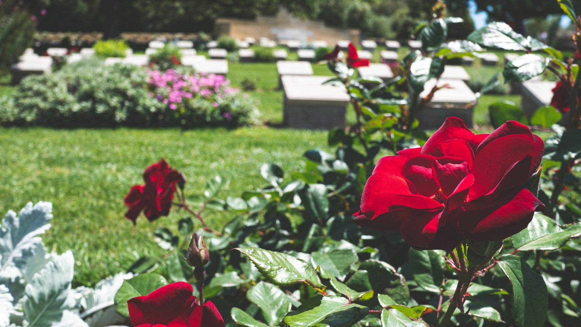 funeral homes Edinburg, TX