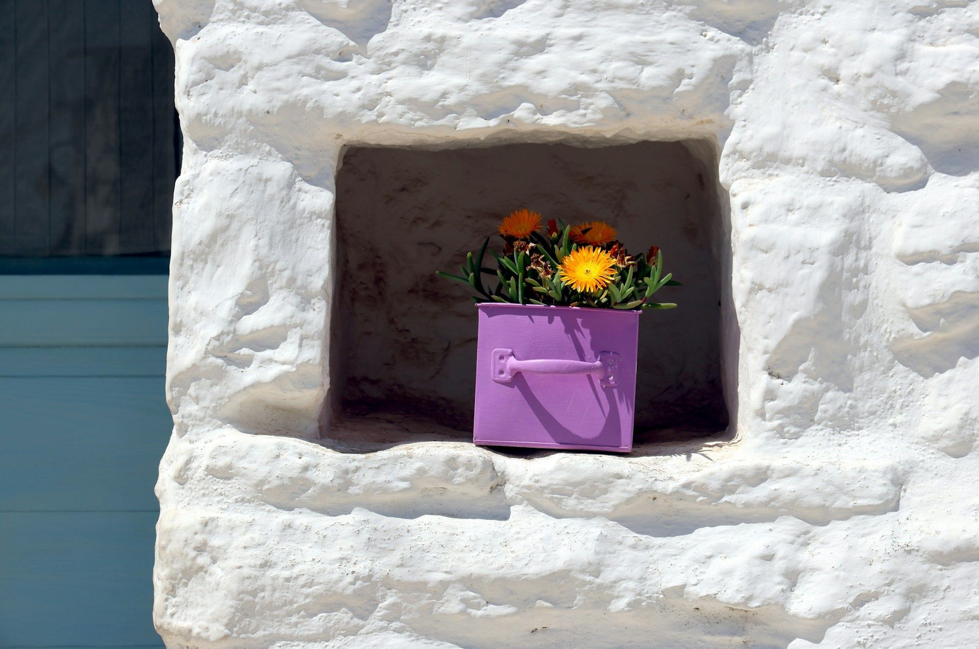 Orange flowers in a purple pot set within a white wall niche adding warmth and charm to space.