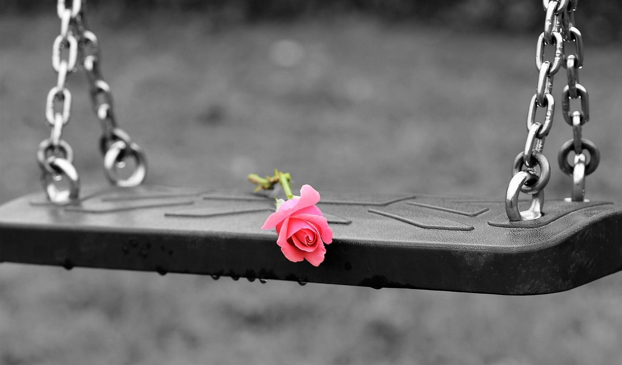 Pink rose placed on an empty swing in a garden, symbolizing memory and reflection