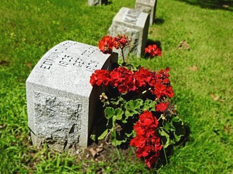 Close-up of a single tombstone in a quiet cemetery, symbolizing remembrance and honoring a loved one