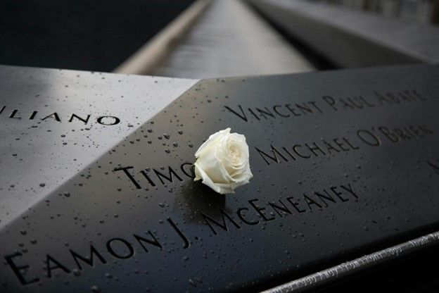 White rose carefully placed on a memorial stone as a symbol of remembrance and honoring a loved one
