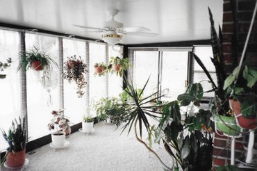 A room with lots of potted plants and a ceiling fan