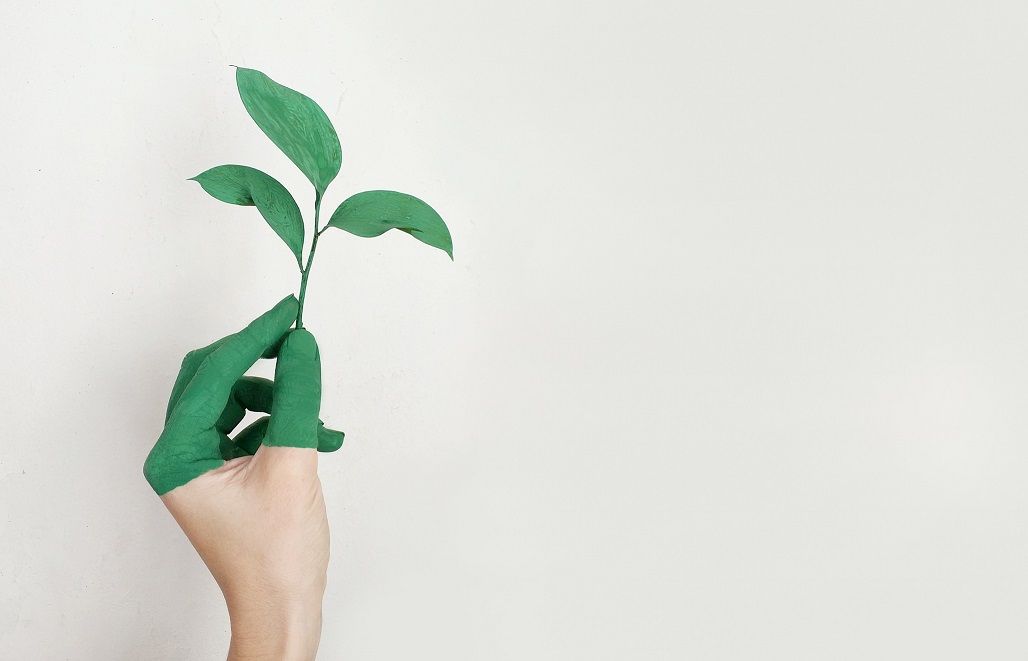 A green hand holding a green plant