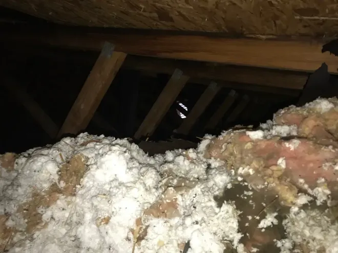 Gross pile-up of moldy insulation after a flood - all needed to be removed