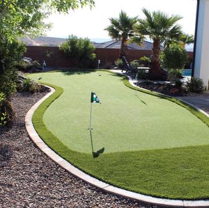 A putting green in a backyard with palm trees