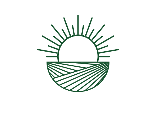 A green drawing of a sun and a field on a white background.