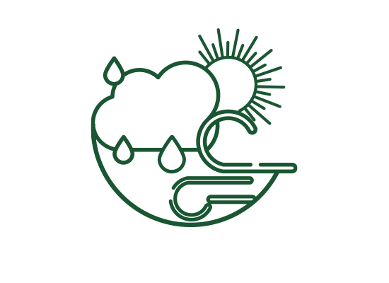 A line drawing of a cloud , sun , rain and wind.