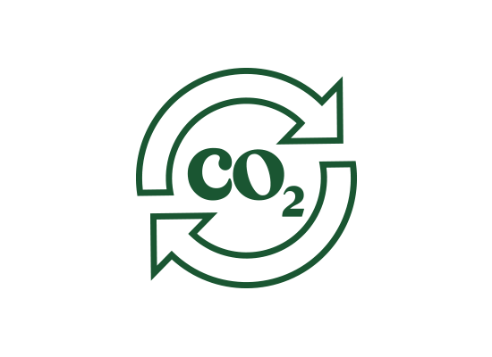 A green icon with two arrows pointing in opposite directions and the word co2 in the middle.