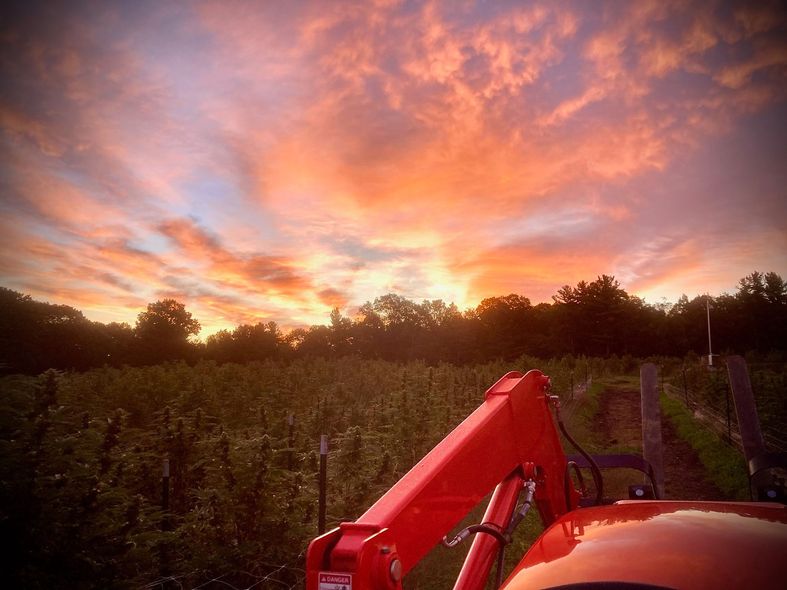 A red tractor is parked in a field at sunset.