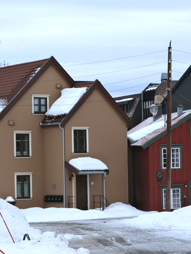 Two houses side by side, with snow on roofs, and snow on the ground outside the house entrance.