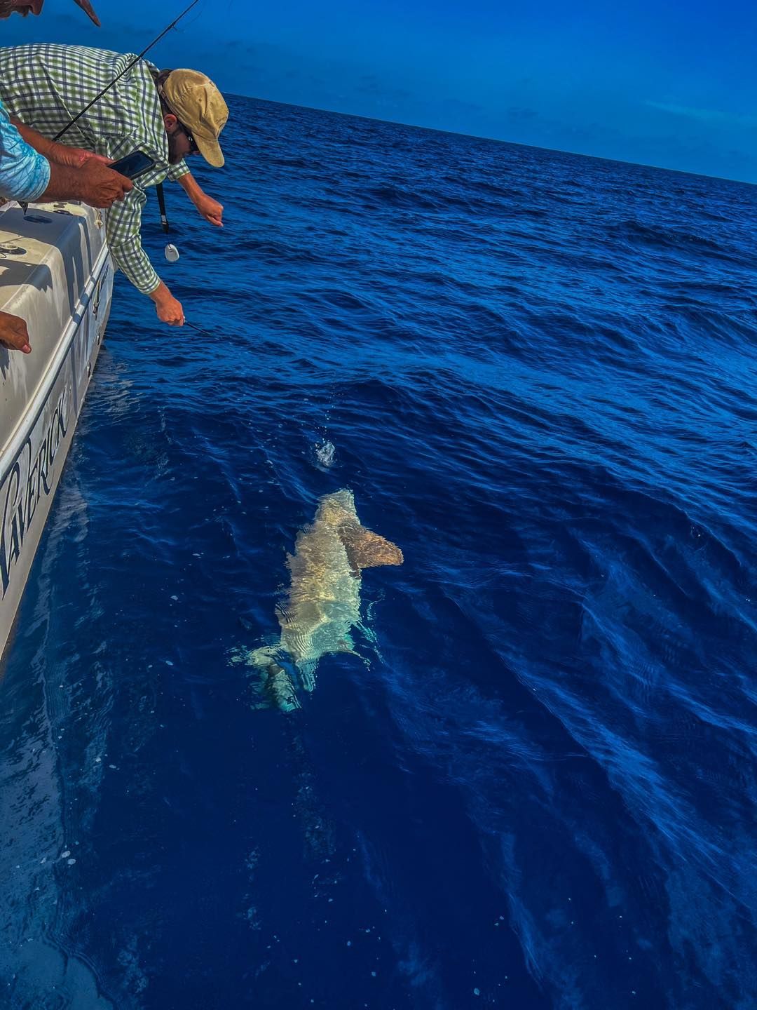 A man is standing on a boat looking at a fish in the ocean.