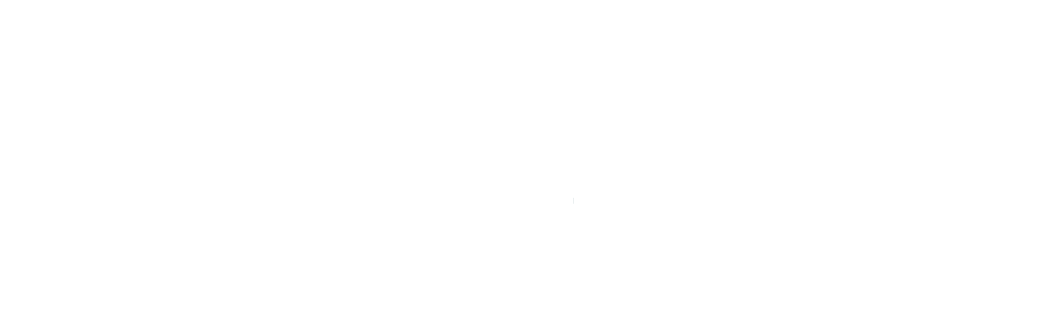 29th Street logo.