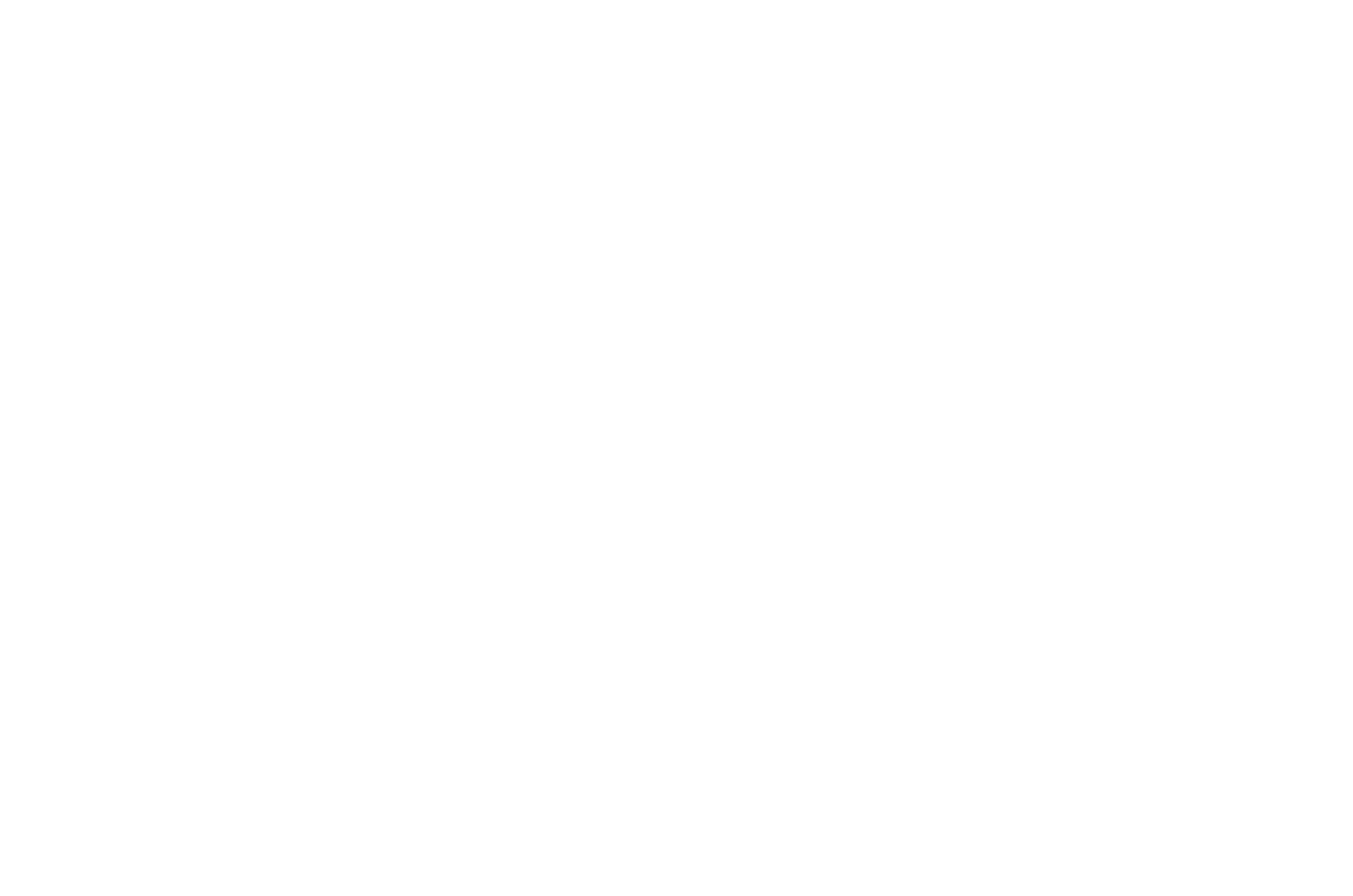 Four Pointe logo in white.