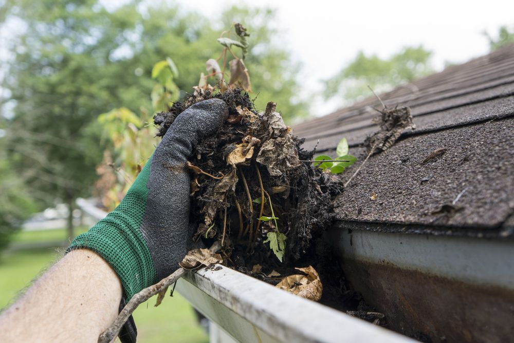 Person's Gloved Hand Cleaning Leaves and Debris From a Gutter on a House Roof — Busy Bees Blasting in Trinity Beach, QLD