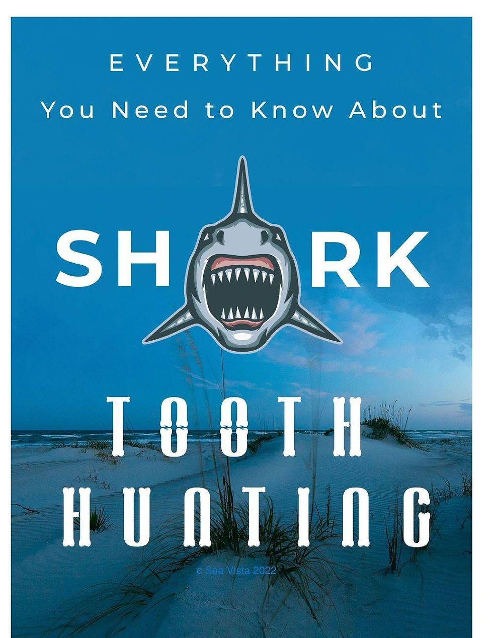 Shark tooth hunting