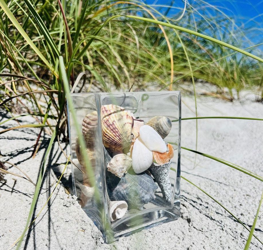 Sea Glass And Seashell Hunting At Topsail Island