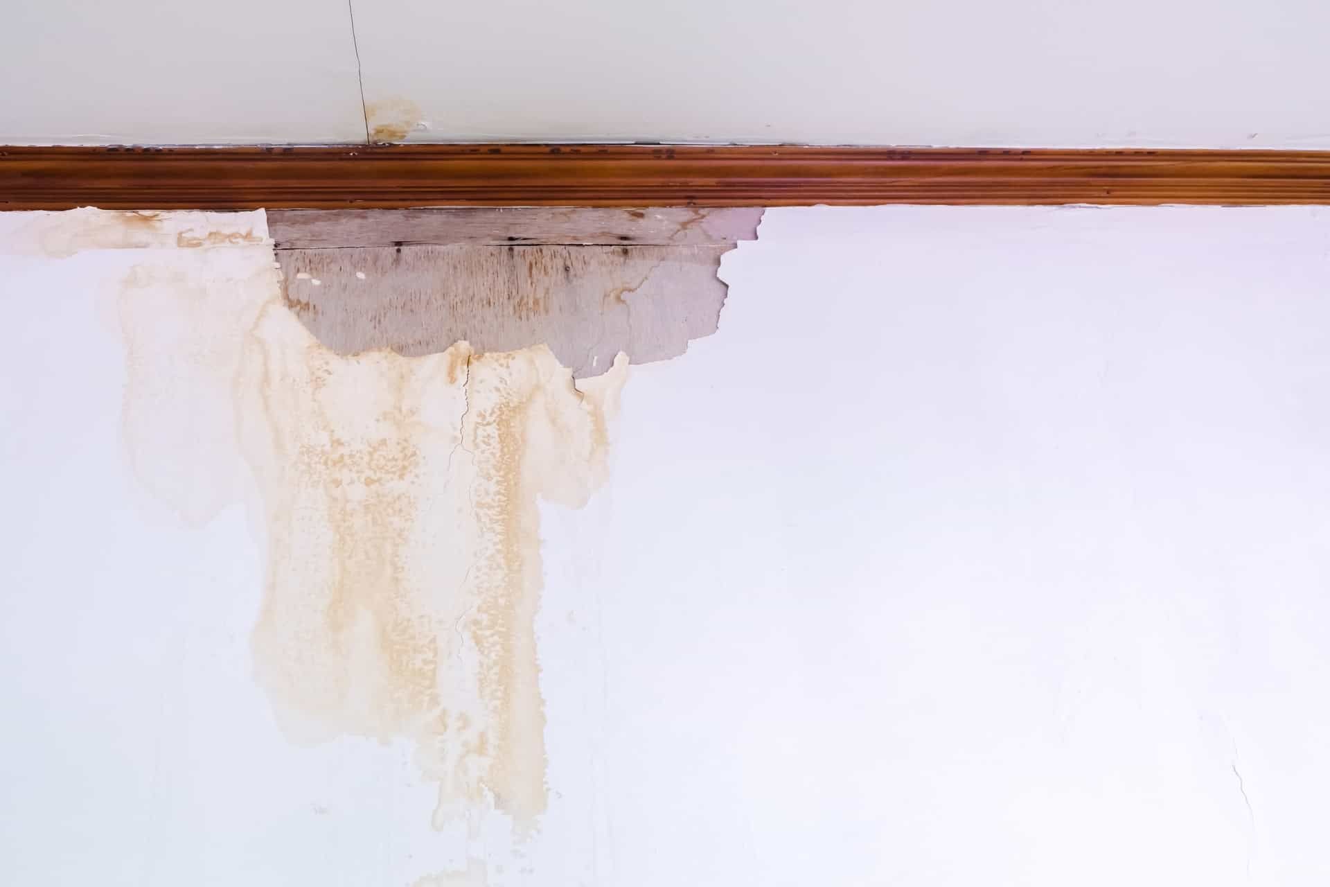 How to Spot Signs of Water Damage During a Home Inspection? Protec