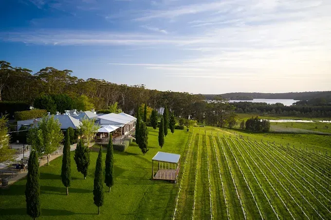 A vineyard with rows of vines, a small wooden pavilion, and a white house on a lawn, overlooking a distant lake — SeaChange Parks Milton in Milton, NSW