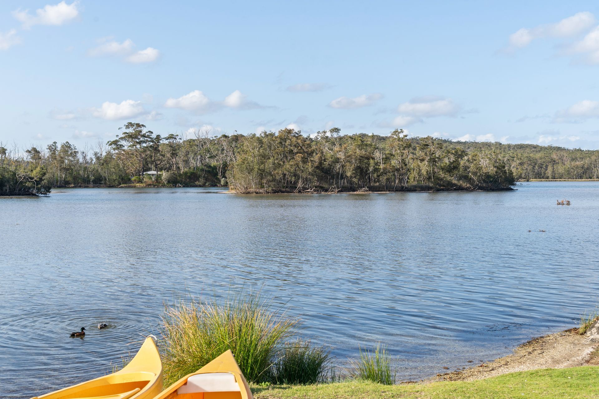 Wooden Dock Extending Into a Wide River, Green Grass on the Bank and Trees — SeaChange Parks Milton in Lake Conjola, NSW
